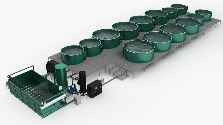 Fish Ras Dimensions How RAS technology works in fish farms | Aquafarmer